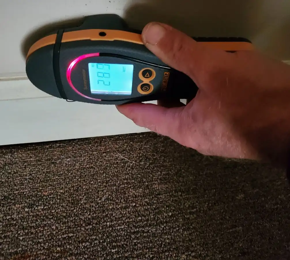 Moisture detection at baseboard during Mold Inspection & Testing in Arlington