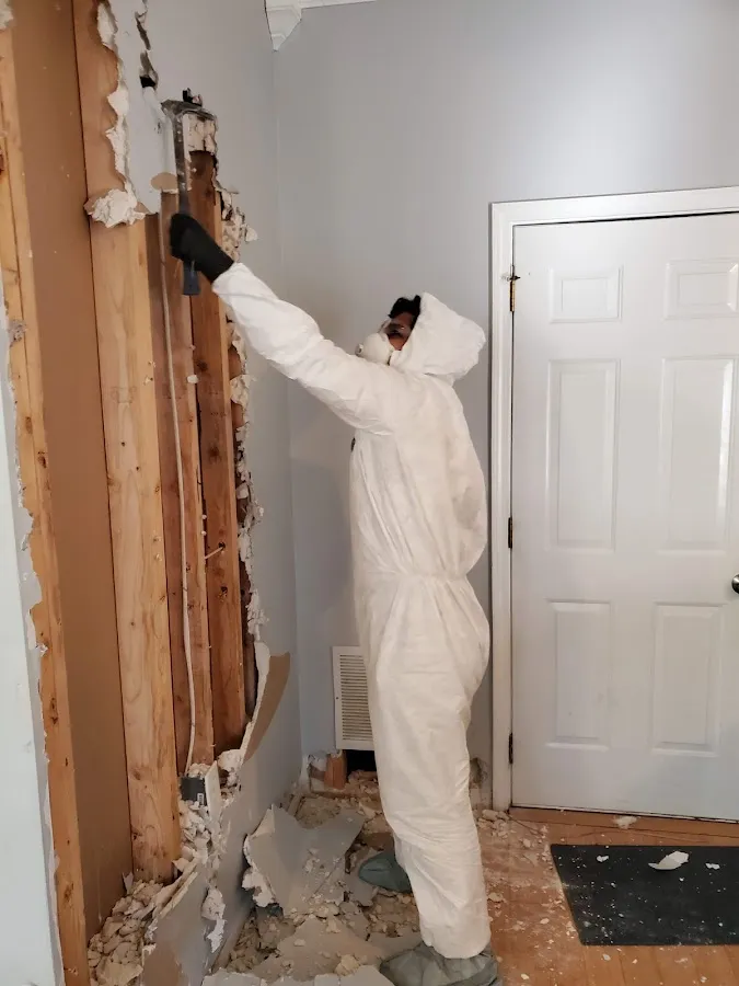 Mold Inspection & Testing in Arlington, WA